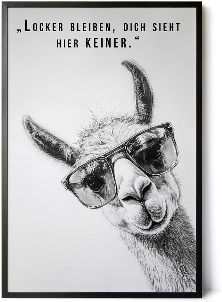 Paul Sinus Poster/Leinwandbild/Rahmenoption Lustiges Lamabild – Coole Klo-Deko fürs Gäste-WC – Perfekt für Humorvolle