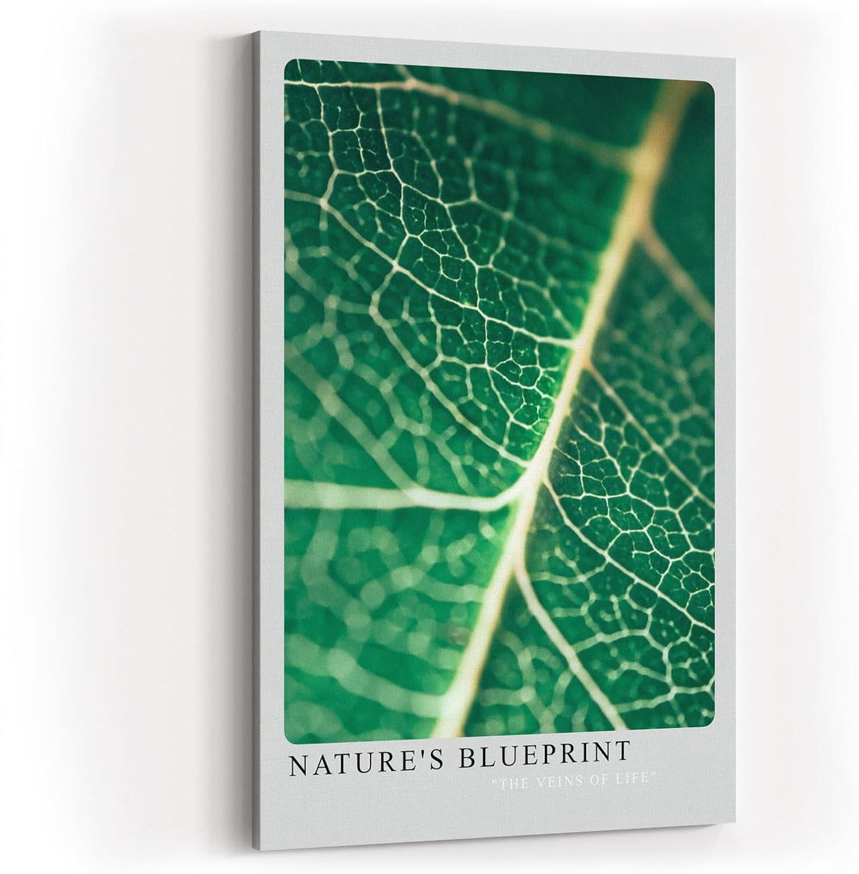 Paul Sinus Wandbild 80x120cm Nature's Blueprint – Blattstruktur in Nahaufnahme mit lebendiger Linienführung