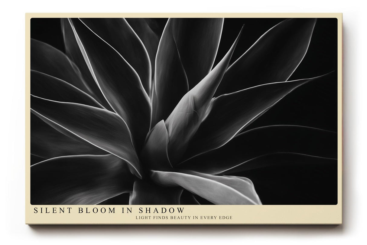 Paul Sinus Wandbild 120x80cm abstrakte Blumenform schwarz weiss moderne botanische Kunst minimalistische Wanddekoration fuer Wohnzimmer Büro