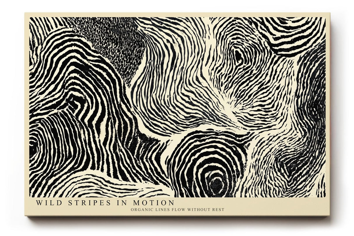 Paul Sinus Wandbild 120x80cm Abstrakte Schwarz Weiss Linienstruktur moderne grafische Kunst Wanddekoration