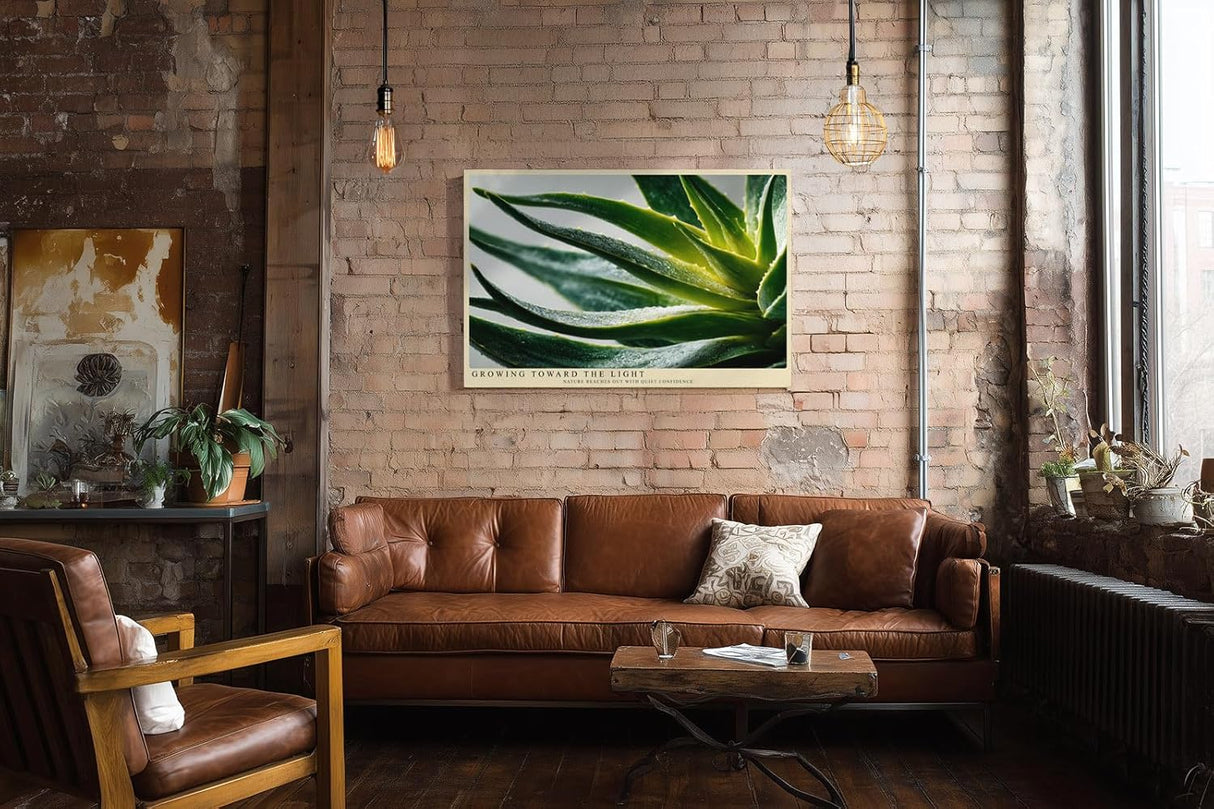 Paul Sinus Wandbild 120x80cm Agave Makrofotografie gruene Sukkulente mit Wassertropfen moderne botanische Naturkunst stilvolle Wanddekoration fuer Wohnzimmer Büro
