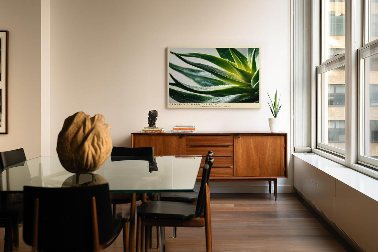 Paul Sinus Wandbild 120x80cm Agave Makrofotografie gruene Sukkulente mit Wassertropfen moderne botanische Naturkunst stilvolle Wanddekoration fuer Wohnzimmer Büro