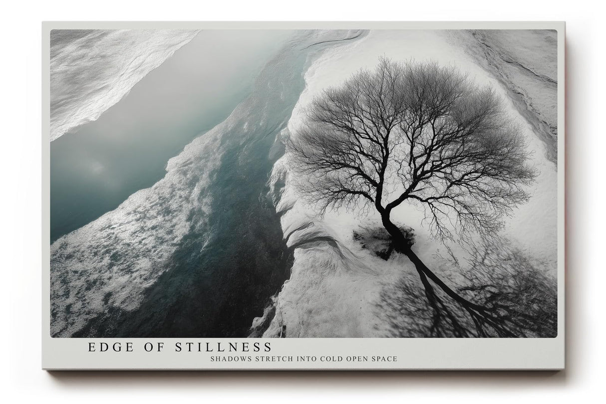 Paul Sinus Wandbild 120x80cm Baum Winter Landschaft schwarz weiss minimalistische Naturfotografie Wanddekoration fuer Wohnzimmer Büro