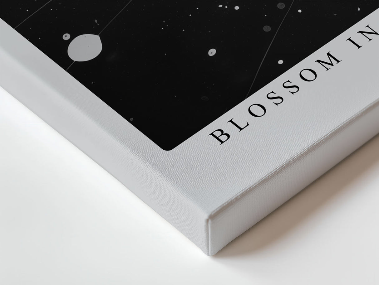Paul Sinus Wandbild Blossom in Darkness – Schwarzweiß-Blumenmotiv mit Farbspritzern, Symbol für Hoffnung, Kontrast und Lebenskraft