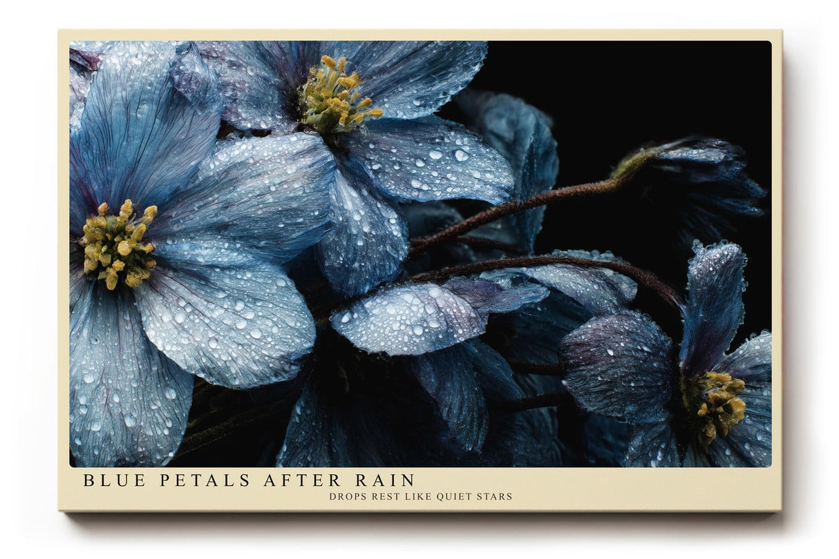 Paul Sinus Wandbild 120x80cm Blue Petals After Rain blaue Blumen Makro Fotokunst mit Wassertropfen moderne Natur Poster für Wohnzimmer Schlafzimmer