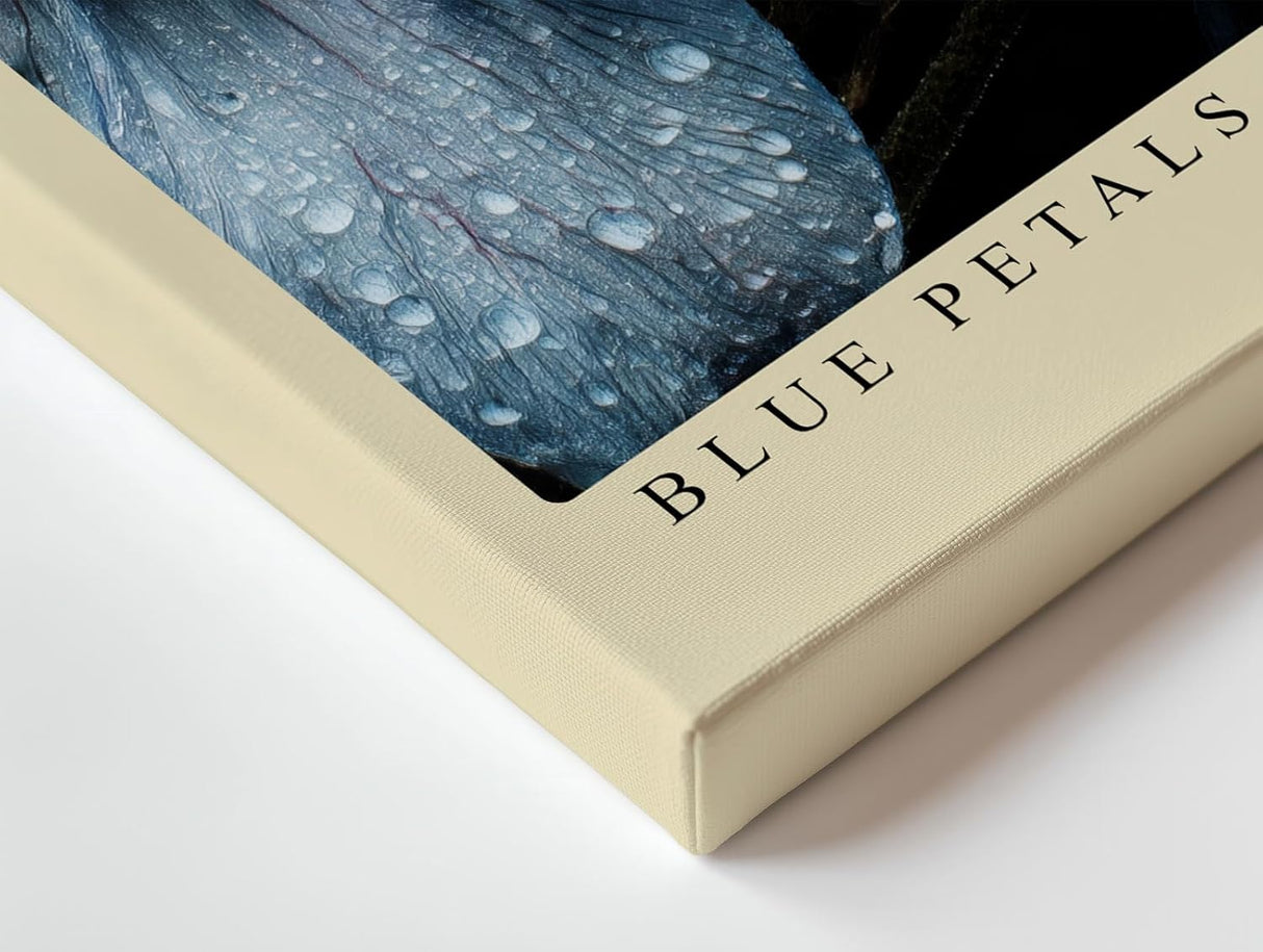 Paul Sinus Wandbild 120x80cm Blue Petals After Rain blaue Blumen Makro Fotokunst mit Wassertropfen moderne Natur Poster für Wohnzimmer Schlafzimmer
