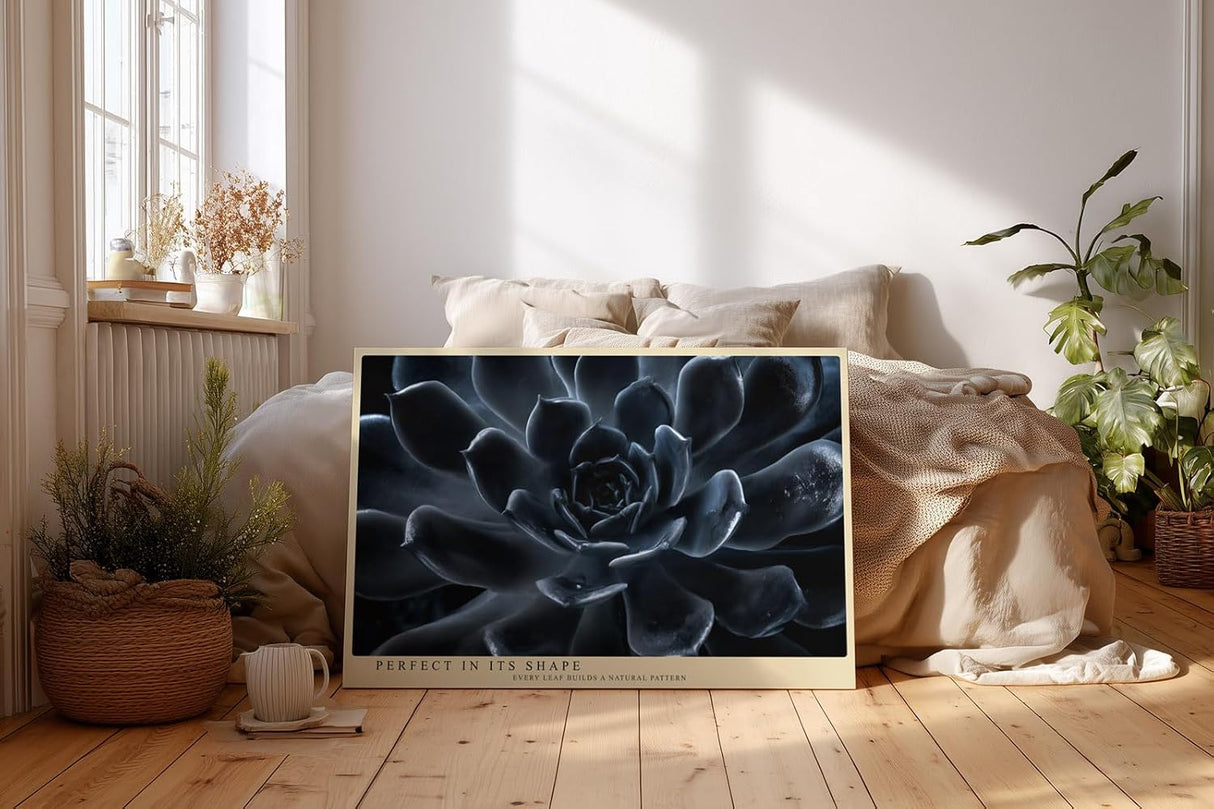 Paul Sinus Wandbild 120x80cm dunkle Sukkulente Makrofotografie moderne Pflanzenkunst elegantes Naturmotiv stilvolle Wanddekoration fuer Wohnzimmer Büro