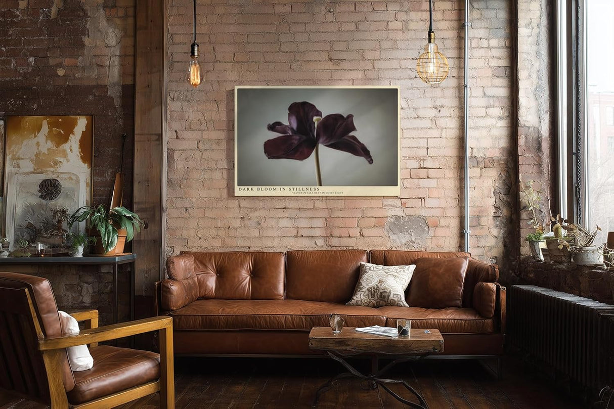 Paul Sinus Wandbild 120x80cm dunkle Tulpe minimalistische Blumenfotografie modern Kunstdruck grosses Wandbild 120x80cm elegante Wanddekoration fuer Wohnzimmer Büro