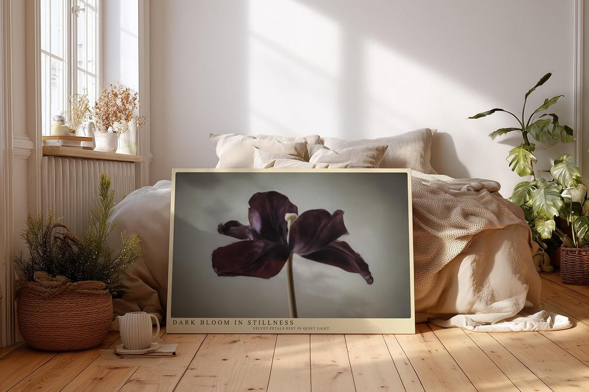 Paul Sinus Wandbild 120x80cm dunkle Tulpe minimalistische Blumenfotografie modern Kunstdruck grosses Wandbild 120x80cm elegante Wanddekoration fuer Wohnzimmer Büro