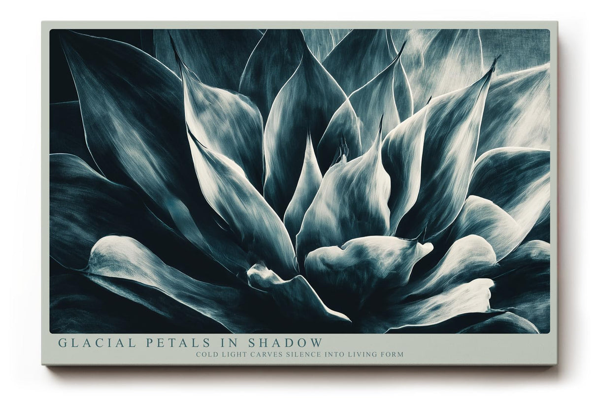 Paul Sinus Wandbild 120x80cm Glacial Petals in Shadow Abstrakte Bluetenstruktur in Blau Moderner Natur Kunststil fuer Wohnzimmer Schlafzimmer und Büro