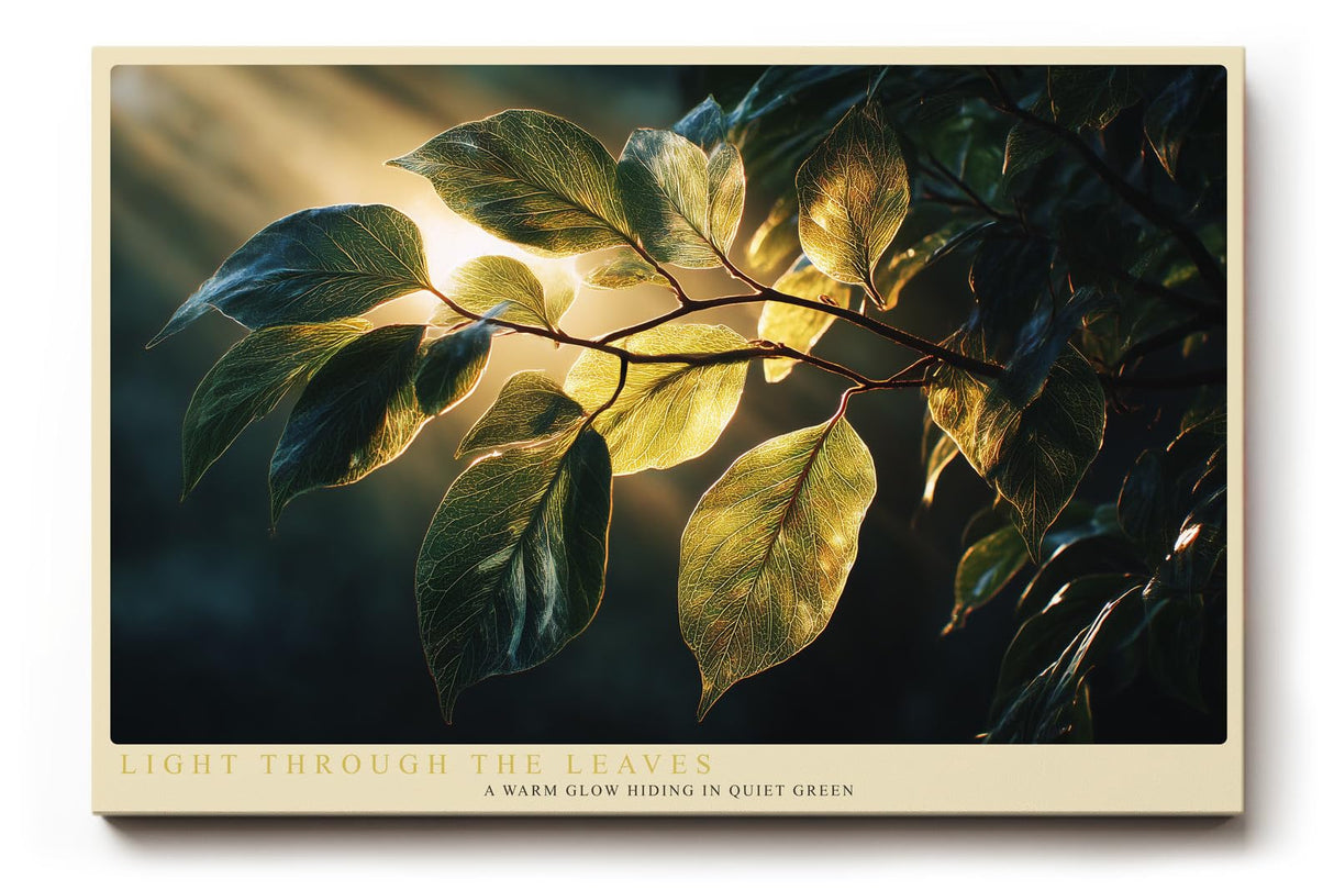 Paul Sinus Wandbild 120x80cm gruene Blaetter im Sonnenlicht botanische Natur Fotokunst warmes Licht Pflanzenmotiv moderne Wanddekoration fuer Wohnzimmer Büro
