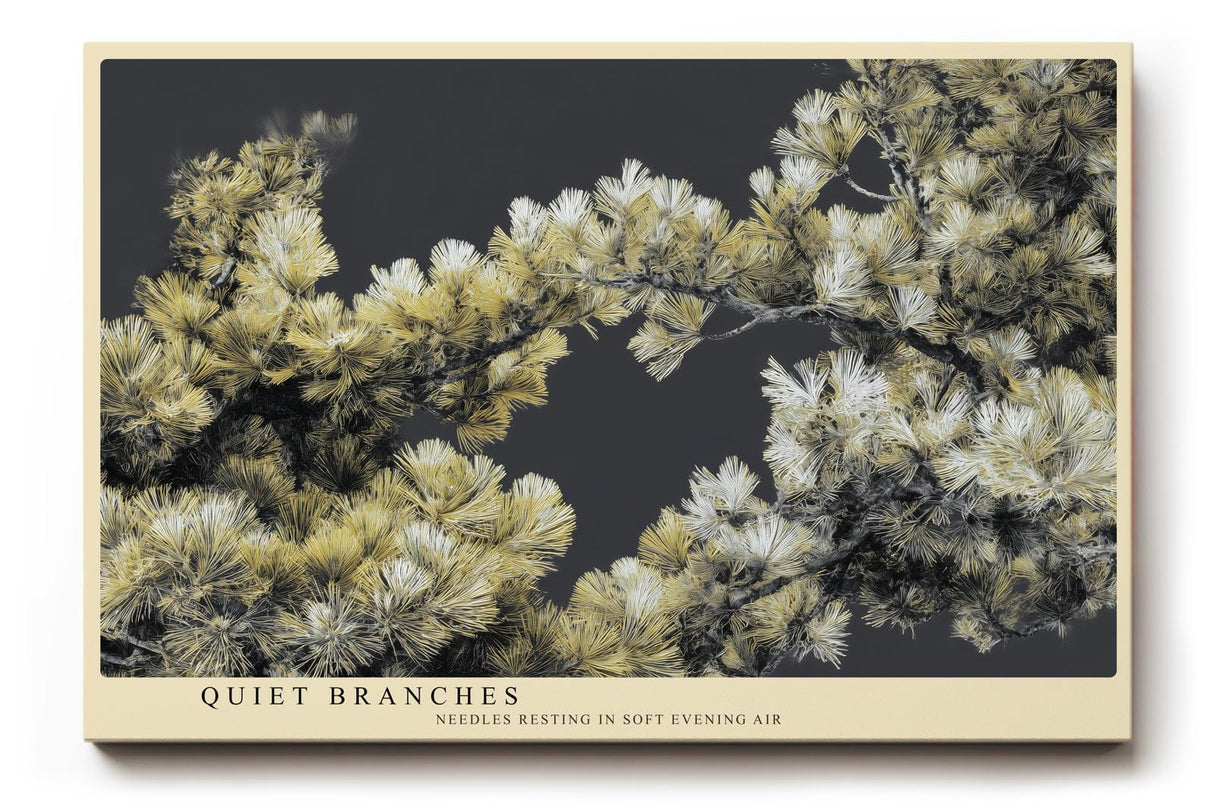 Paul Sinus Wandbild 120x80cm Kiefernzweige Naturfotografie botanische Kunst beige gruen moderne Wanddekoration fuer Wohnzimmer Büro