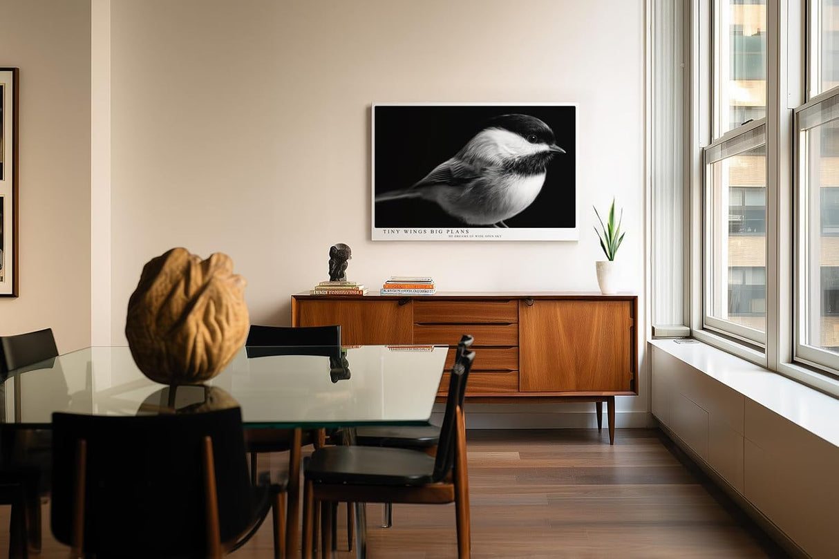 Paul Sinus Wandbild 120x80cm kleiner Vogel Fotokunst schwarz weiss minimalistisch ruhige Natur Tierporträt elegantes Kunstbild moderne