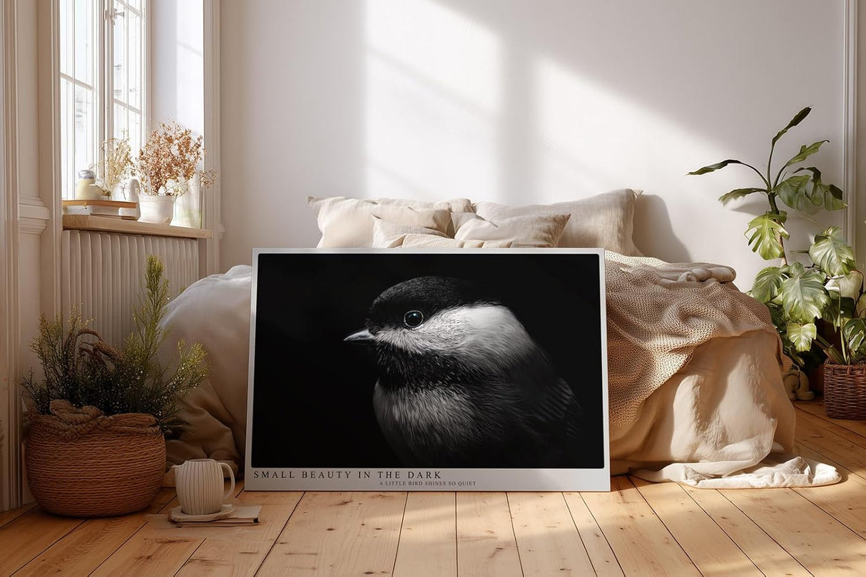 Paul Sinus Wandbild 120x80cm kleiner Vogel im Dunkel Fotokunst schwarz weiss minimalistische Natur Tierportrait elegantes Kunstbild moderne