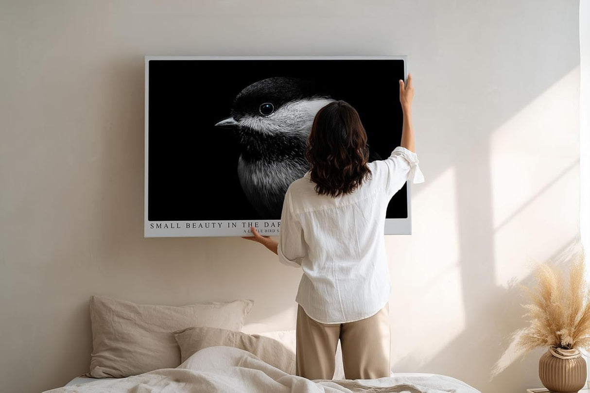 Paul Sinus Wandbild 120x80cm kleiner Vogel im Dunkel Fotokunst schwarz weiss minimalistische Natur Tierportrait elegantes Kunstbild moderne