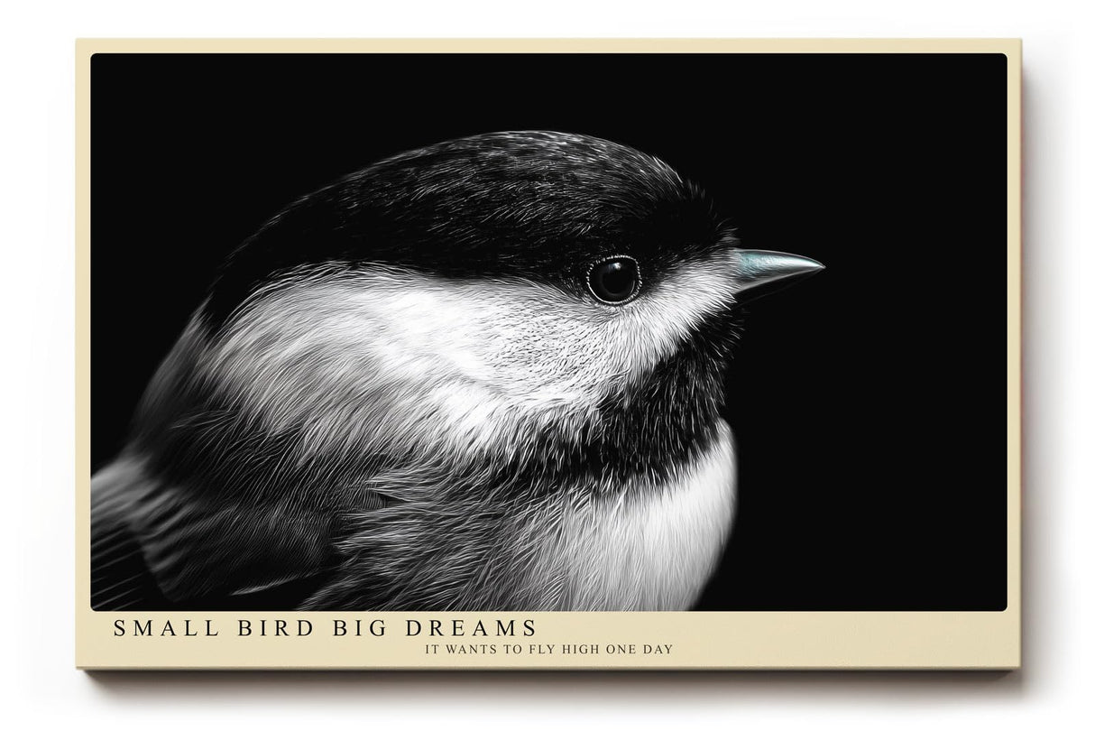 Paul Sinus Wandbild 120x80cm kleiner Vogel Nahaufnahme Fotokunst schwarz weiss minimalistische Tierfotografie ruhiges Naturmotiv stilvolle