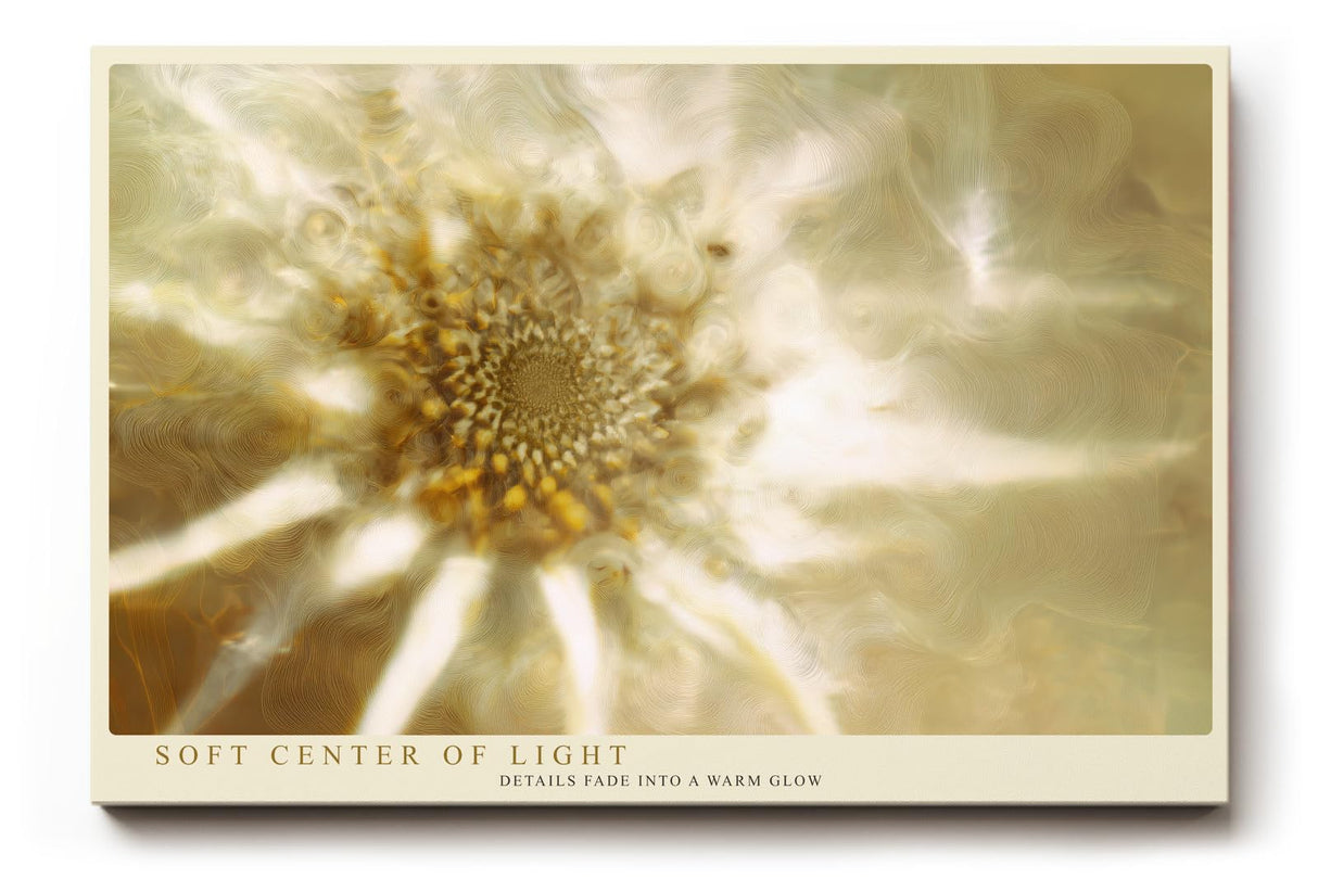 Paul Sinus Wandbild 120x80cm Makro Bluete abstrakt beige gold moderne Naturkunst Kunstdruck grosses Kunstbild elegante Wanddekoration fuer Wohnzimmer Büro
