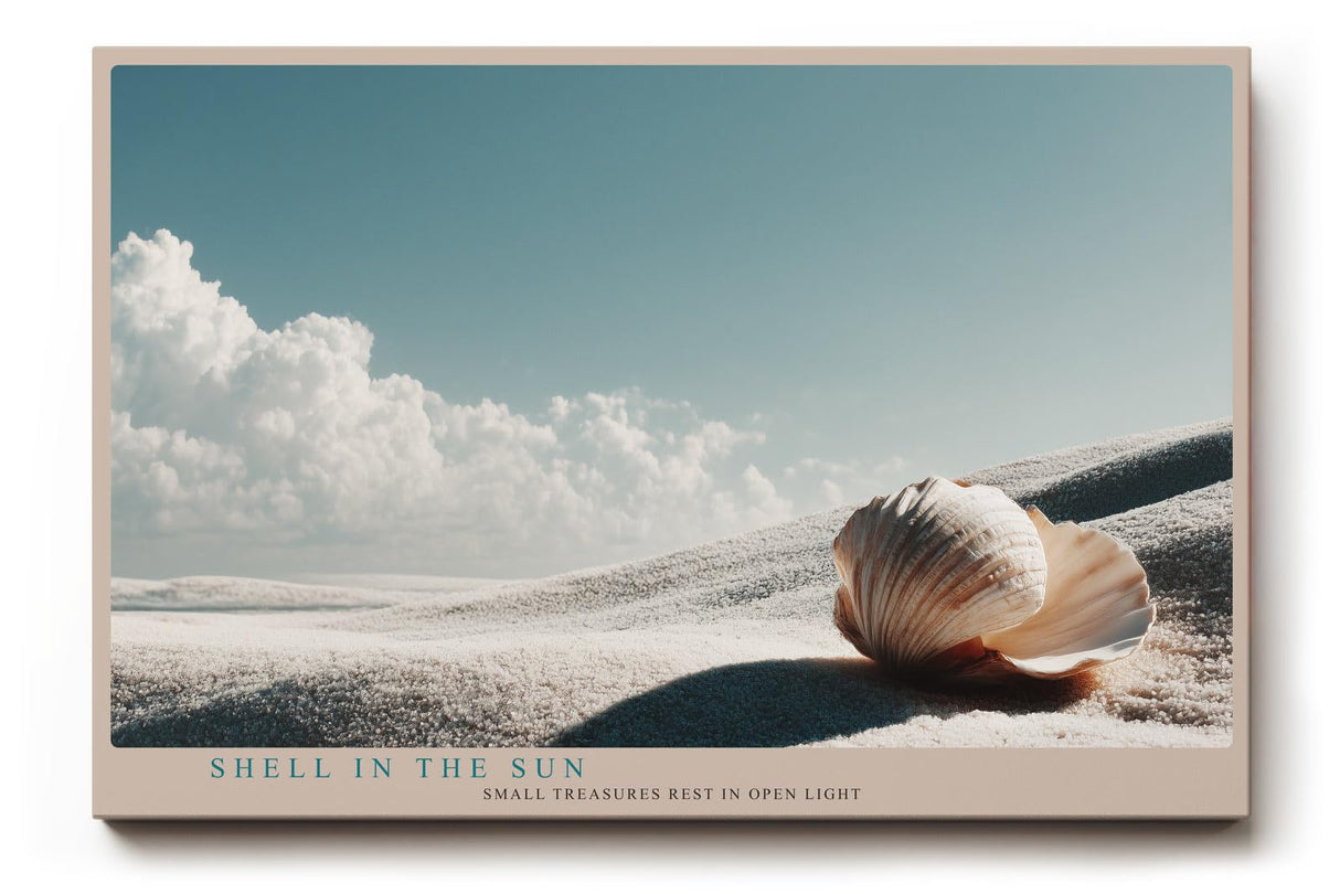 Paul Sinus Wandbild 120x80cm Muschel Strand Landschaft minimalistische Naturfotografie Meer Sand moderne Wanddekoration fuer Wohnzimmer Büro