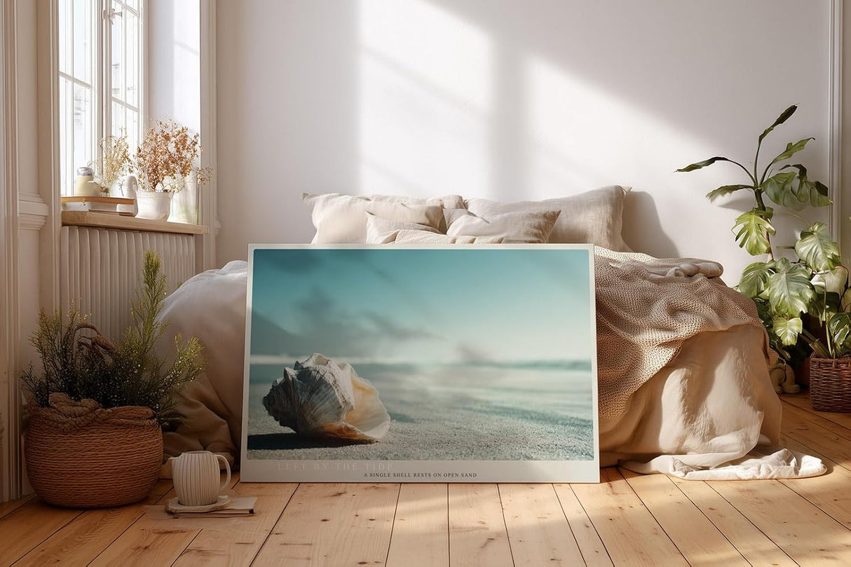 Paul Sinus Wandbild 120x80cm Muschel Strand minimalistische Naturfotografie ruhiges Meeresmotiv stilvolle Wanddekoration fuer Wohnzimmer Büro