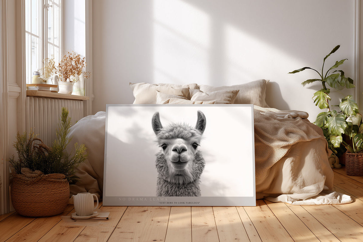 Paul Sinus Wandbild No Drama Llama humorvolles Tiermotiv mit Lama in Schwarzweiß für moderne Wohnräume mit Witz und Stil