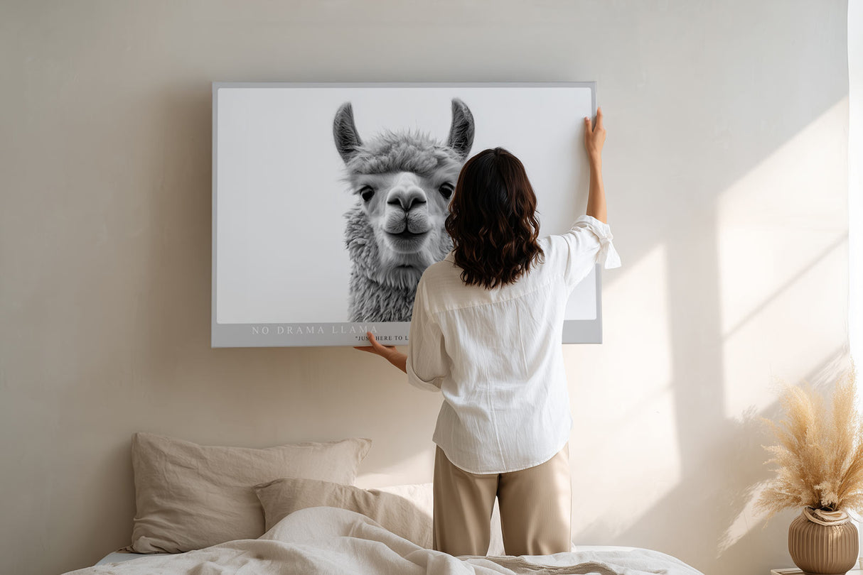 Paul Sinus Wandbild No Drama Llama humorvolles Tiermotiv mit Lama in Schwarzweiß für moderne Wohnräume mit Witz und Stil