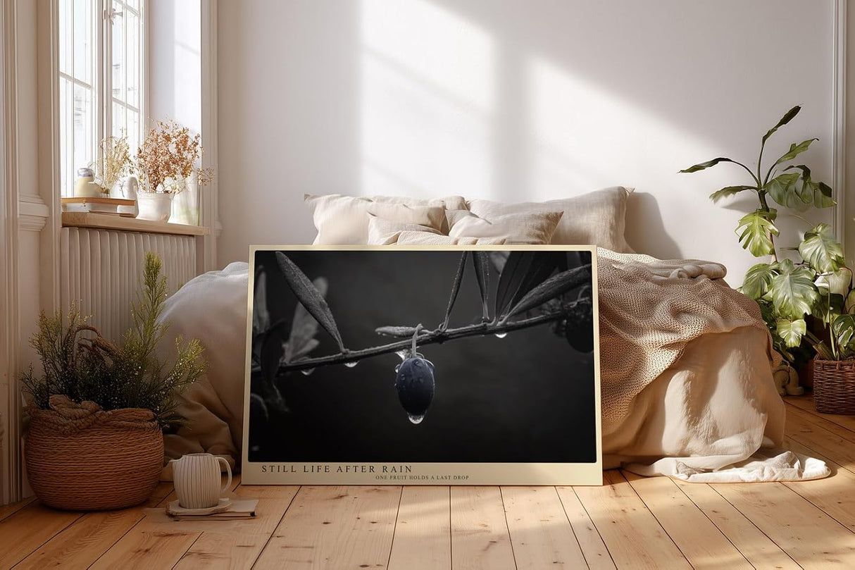 Paul Sinus Wandbild 120x80cm Olive Zweig Stillleben Schwarz Weiss Naturfotografie elegantes Kunstposter minimalistische Wanddekoration fuer Wohnzimmer Kueche Esszimmer Büro