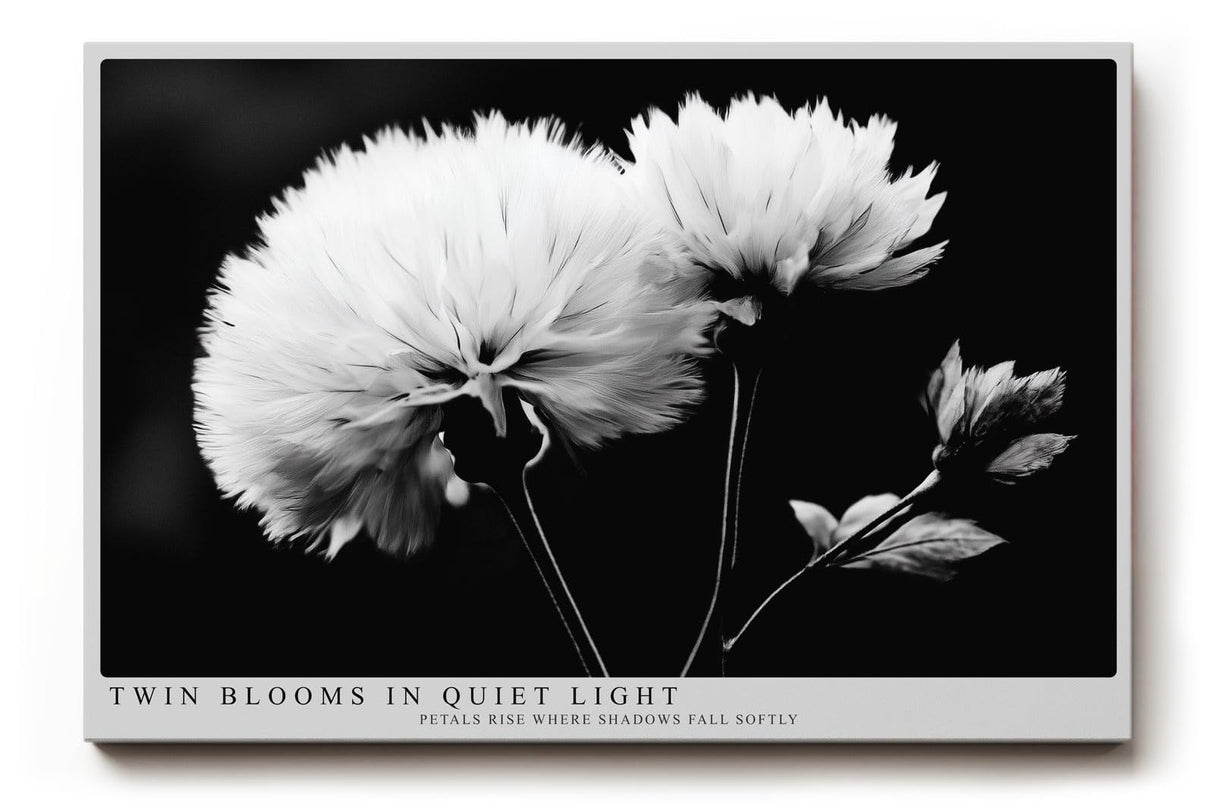 Paul Sinus Wandbild 120x80cm Schwarz Weiss Blumen Duo elegante Makro Naturfotografie moderne Wanddekoration