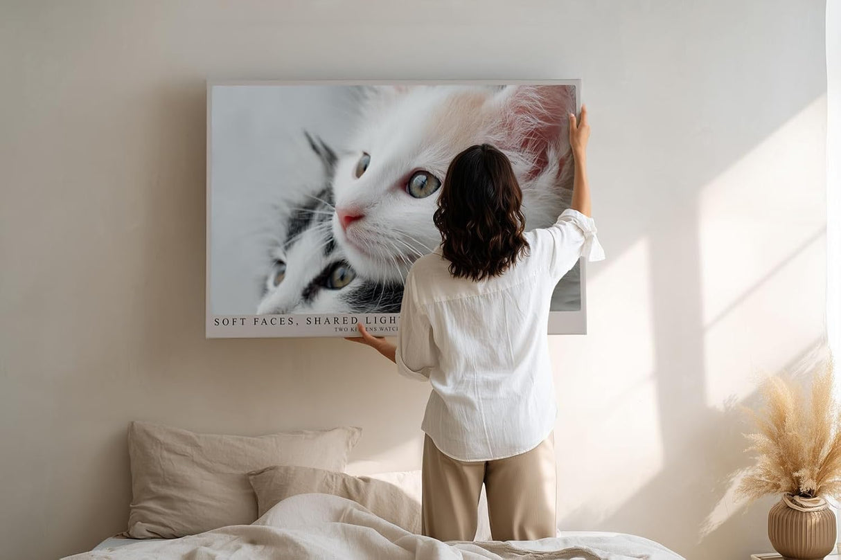 Paul Sinus Wandbild 120x80cm Soft Faces Shared Light zwei süße Kätzchen Tier Fotokunst Katzen Poster für Wohnzimmer Schlafzimmer Kinderzimmer