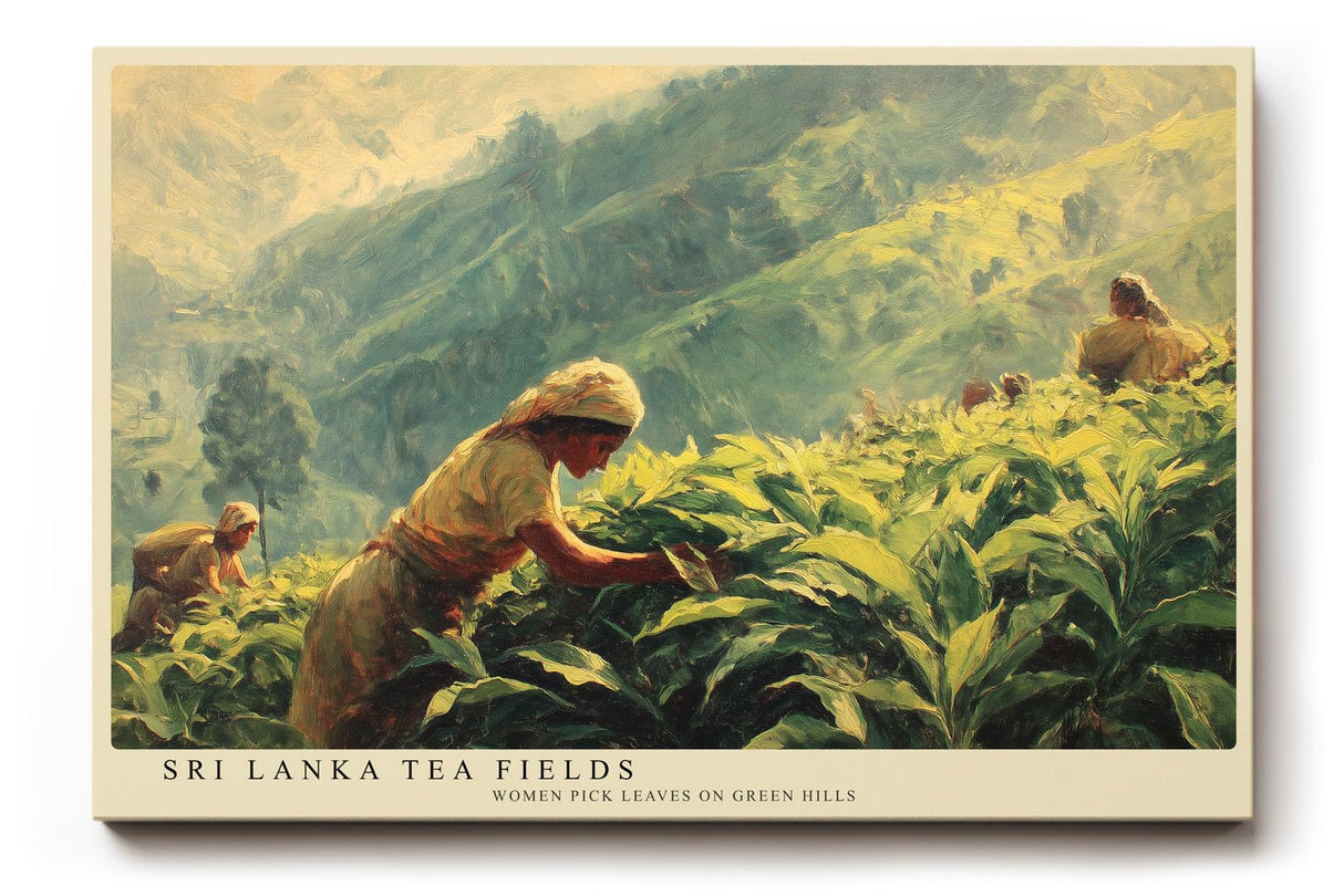 Paul Sinus Wandbild 120x80cm Teeplantagen in Sri Lanka – Ruhige Landschaft mit traditioneller Erntearbeit in grünen Hügeln