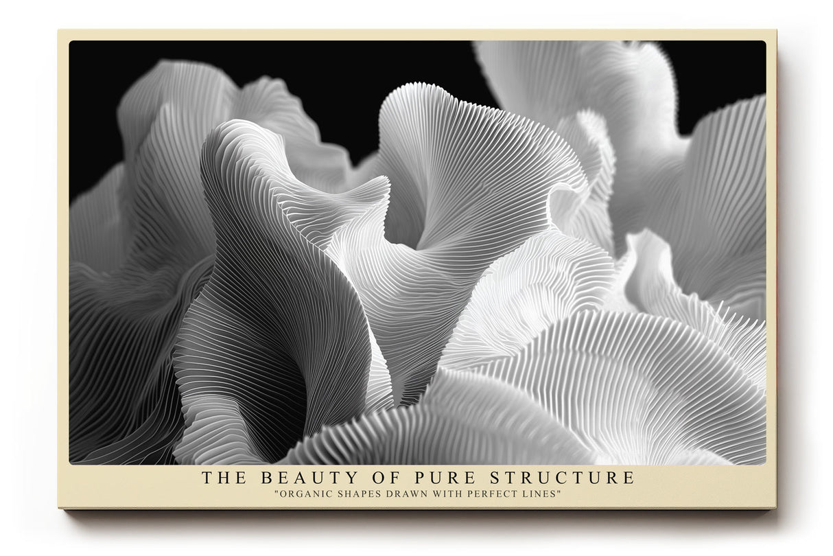 Paul Sinus Wandbild The Beauty of Pure Structure – Ästhetik organischer Formen in perfekter Linienführung