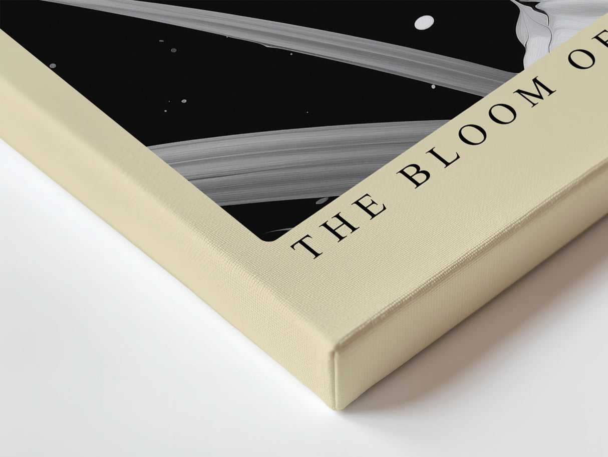 Paul Sinus Wandbild The Bloom of Midnight Light Künstlerisches Schwarz-Weiß-Motiv einer Blüte im Kontrast aus Licht und Dunkelheit – Symbol für Reinheit und Stärke.