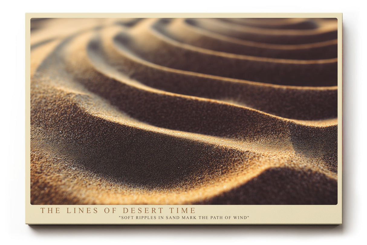 Paul Sinus Wandbild The Lines of Desert Time faszinierendes Naturmotiv mit wellenförmigen Sandstrukturen in warmem Licht