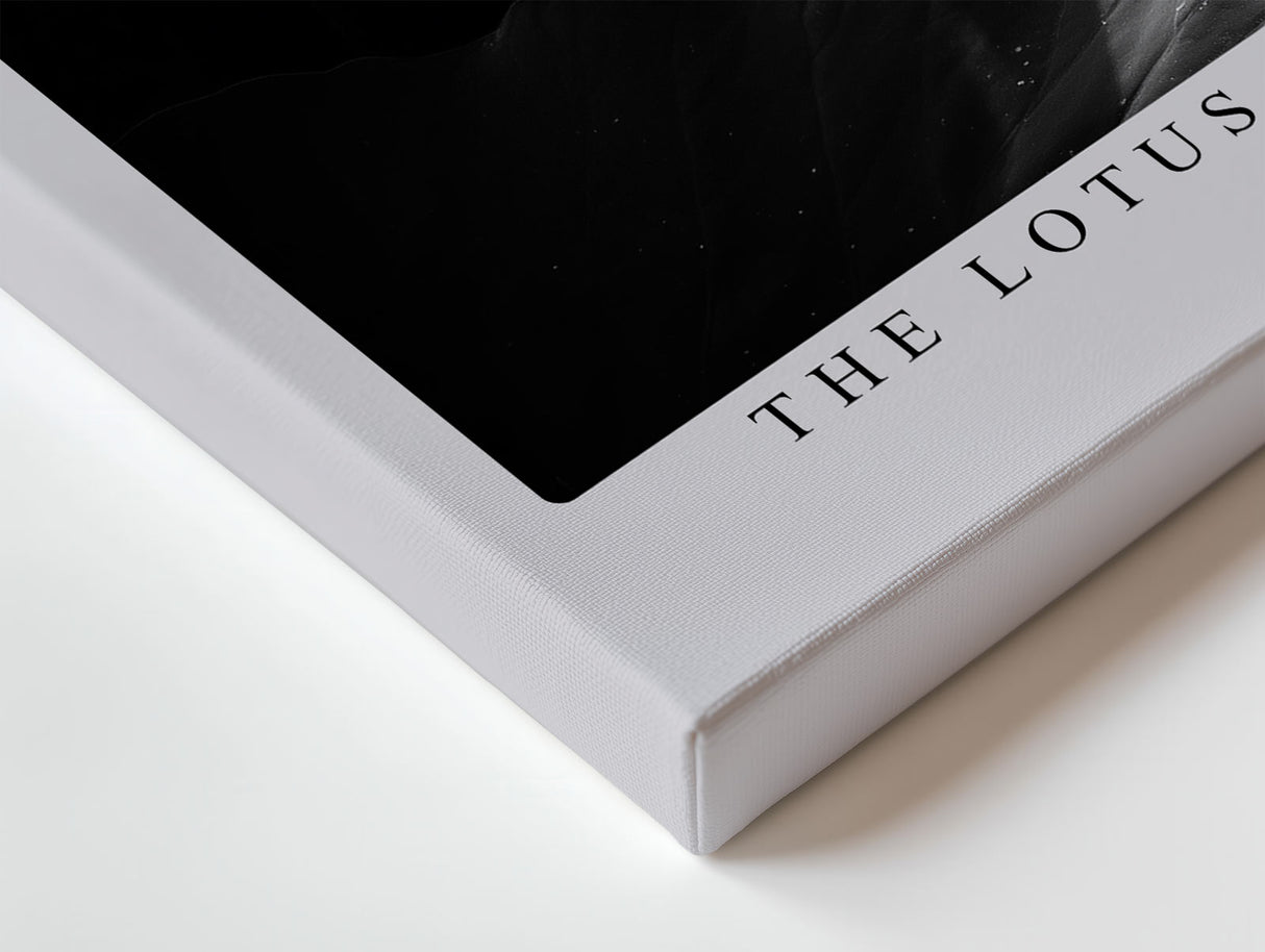 Paul Sinus Wandbild The Lotus of Night – Ästhetische Komposition von Licht und Schatten mit geheimnisvoller Lotusblüte – Ausdrucksstarkes Wandbild in Schwarzweiß mit poetischer Tiefe.