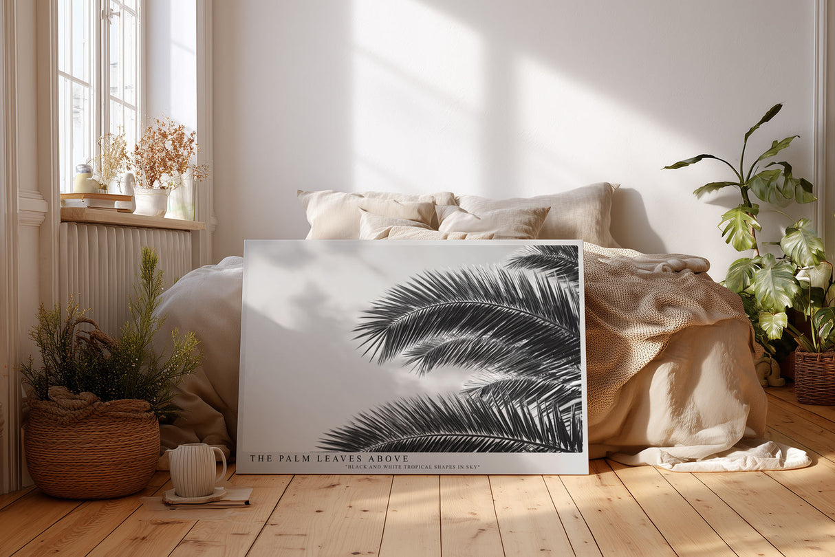 Paul Sinus Wandbild The Palm Leaves Above – Tropische Formen im monochromen Spiel aus Licht und Schatten