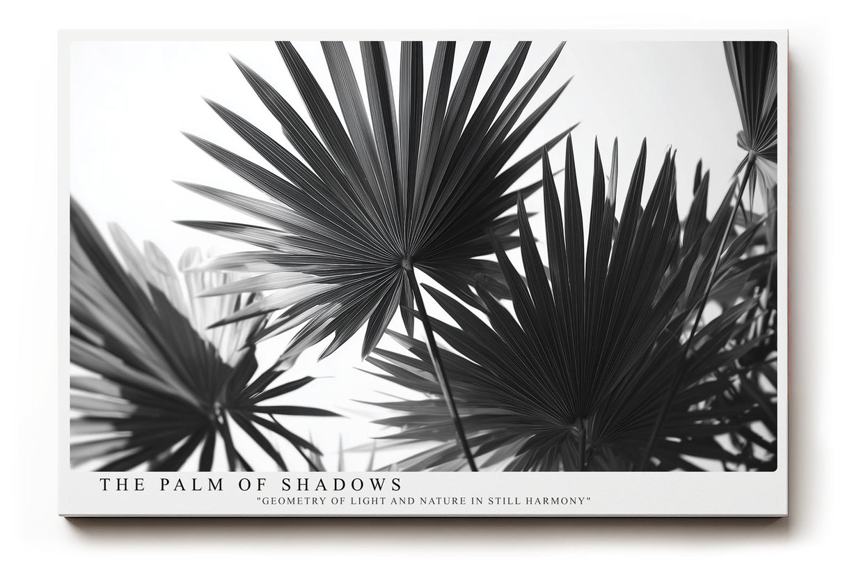 Paul Sinus Wandbild The Palm of Shadows – Geometrische Eleganz tropischer Formen in monochromer Ruhe – Stilvolles Wandbild mit grafischer Palmblattstruktur
