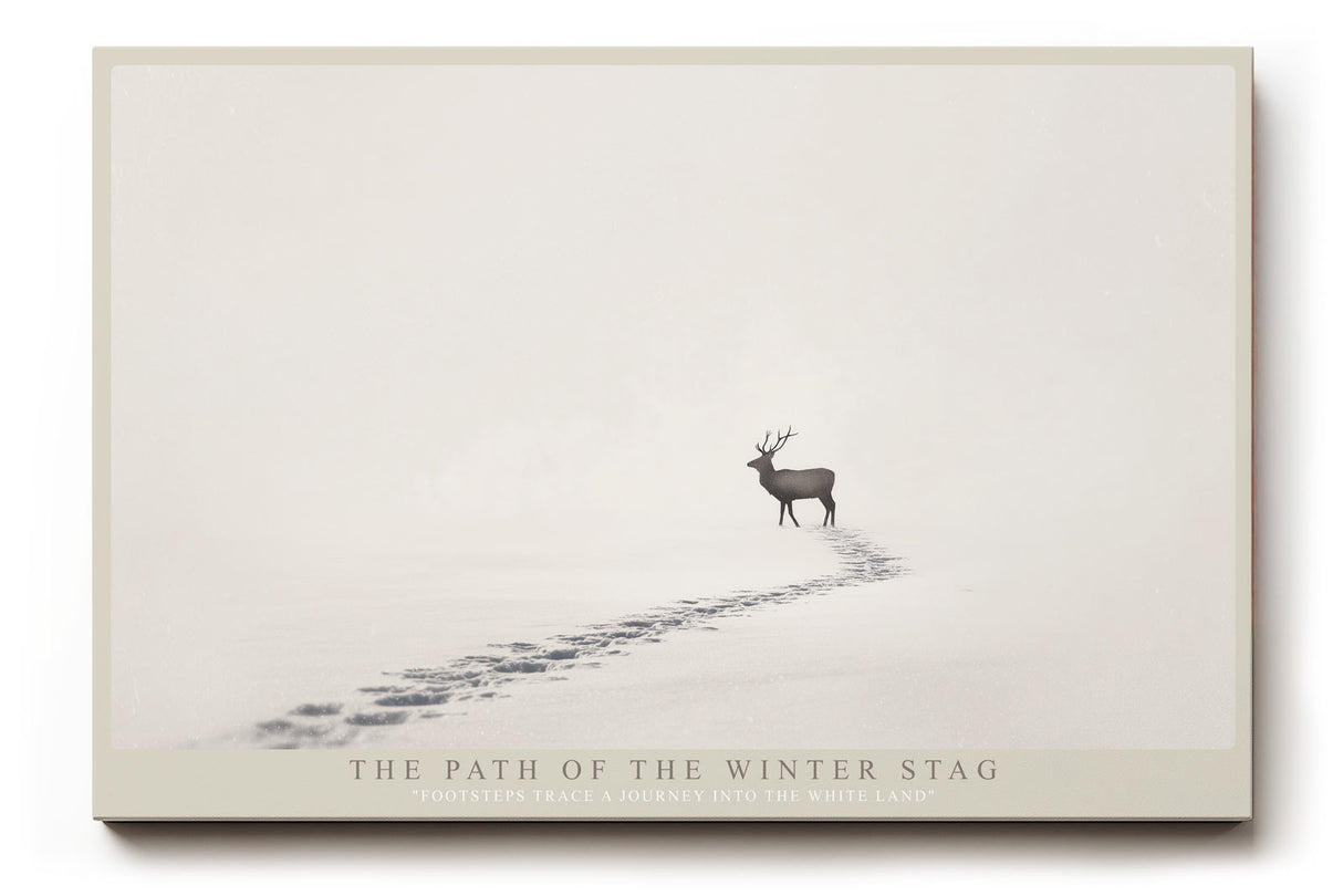 Paul Sinus Wandbild The Path of the Winter Stag – Minimalistisches Wintermotiv mit Hirsch und Fußspuren im Schnee, Symbol für Einsamkeit, Kraft und Beständigkeit