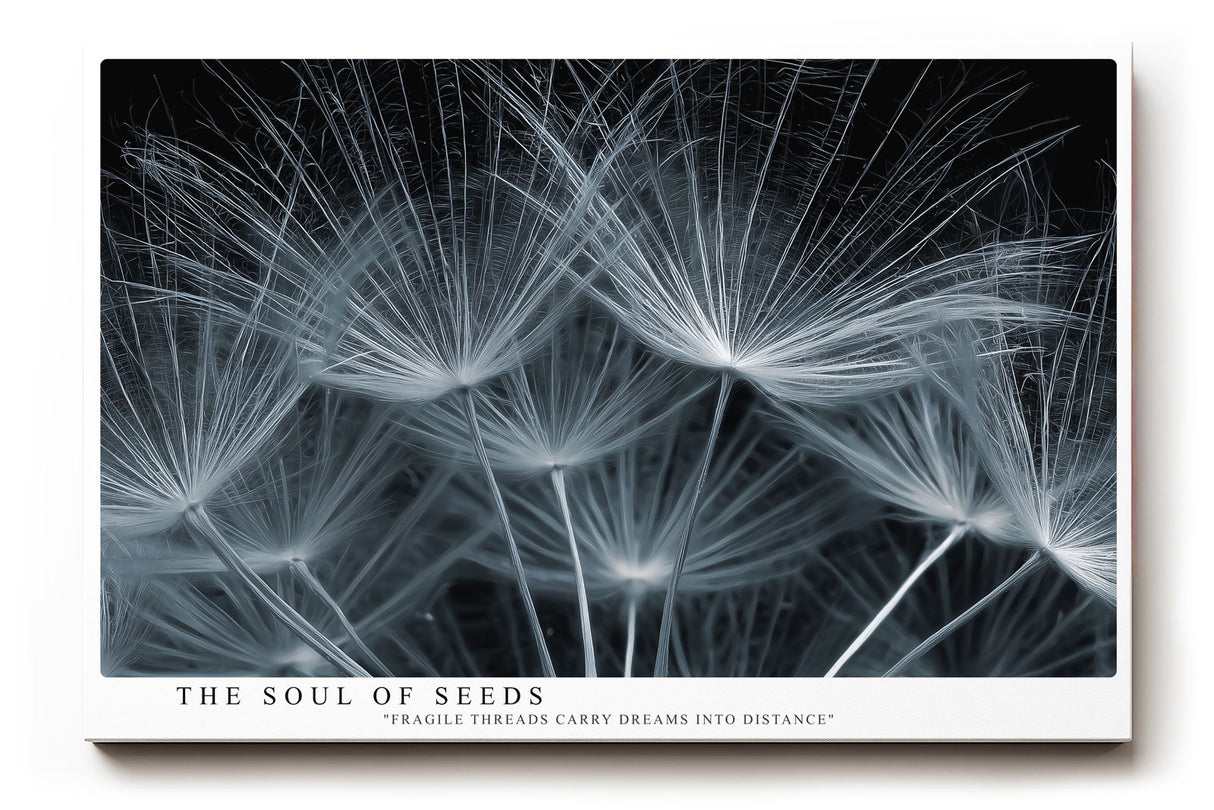 Paul Sinus Wandbild The Soul of Seeds – Makroaufnahme zarter Samenflieger, Symbol für Leichtigkeit, Neubeginn und natürliche Poesie