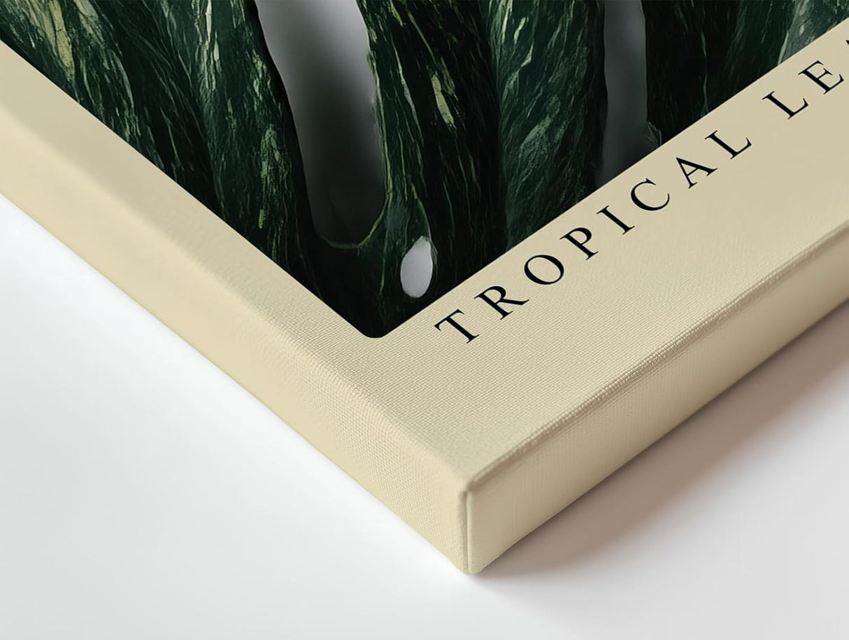 Paul Sinus Wandbild 120x80cm Tropical Leaf in Light tropisches Monstera Blatt botanische Natur Fotokunst modernes Pflanzen Poster für Wohnzimmer Büro