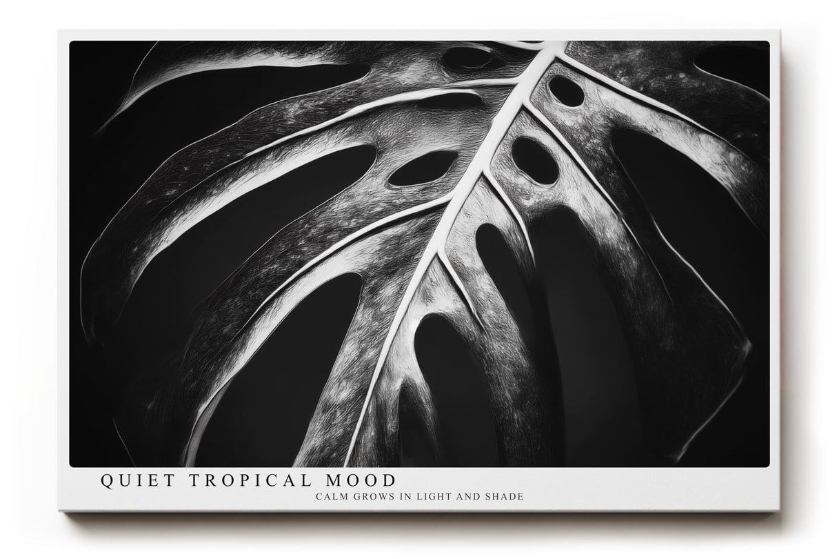 Paul Sinus Wandbild 120x80cm tropisches Blatt Monstera schwarz weiss minimalistische Natur Fotokunst moderner Kunstdruck elegante