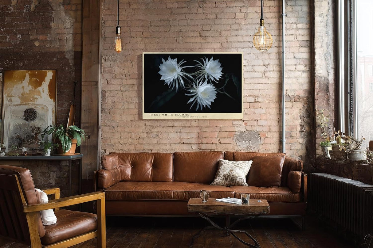 Paul Sinus Wandbild 120x80cm weisse Blueten botanische Kunst auf dunklem Hintergrund elegante Naturfotografie Kunstdruck stilvolle Wanddekoration fuer Wohnzimmer Schlafzimmer