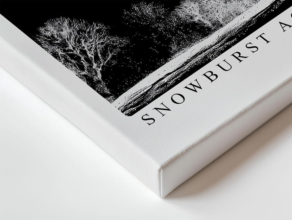 Paul Sinus Wandbild 120x80cm Winterbaum Schneesturm Schwarz Weiss Kontrastreiche Naturkunst Minimalistische Landschaft für Wohnzimmer Büro Flur