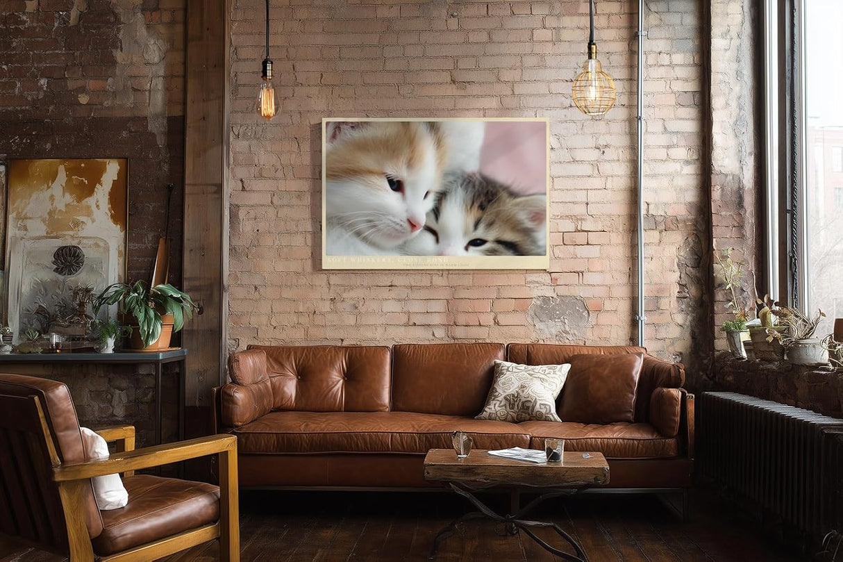 Paul Sinus Wandbild 120x80cm Zwei Kätzchen Nahaufnahme Süße Tierfotografie Katzen Kunst für Wohnzimmer Schlafzimmer Kinderzimmer