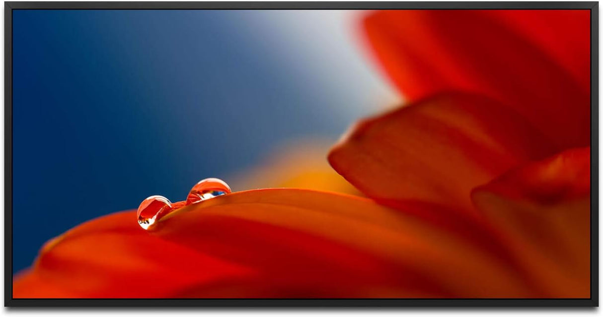 rote Blumen ca. 130x70cm Wandbild inklusive Schattenfugenrahmen schwarz - Panorama Leinwand Bild XXL Format Wandbilder Wohnzimmer Wohnung Deko Kunstdrucke