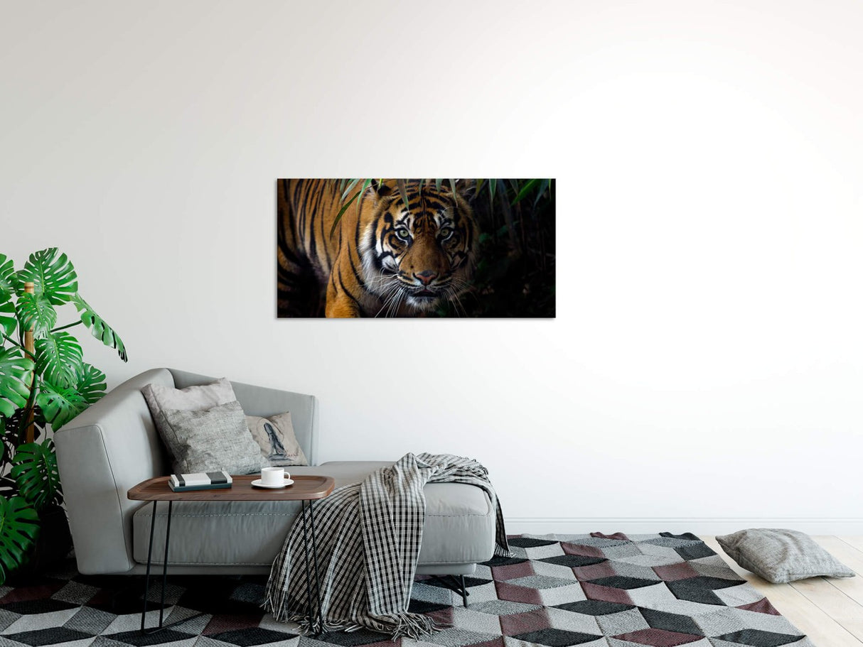 shutterstock_1011623377y8d3YDlOi7hWN_1280x1280.jpg