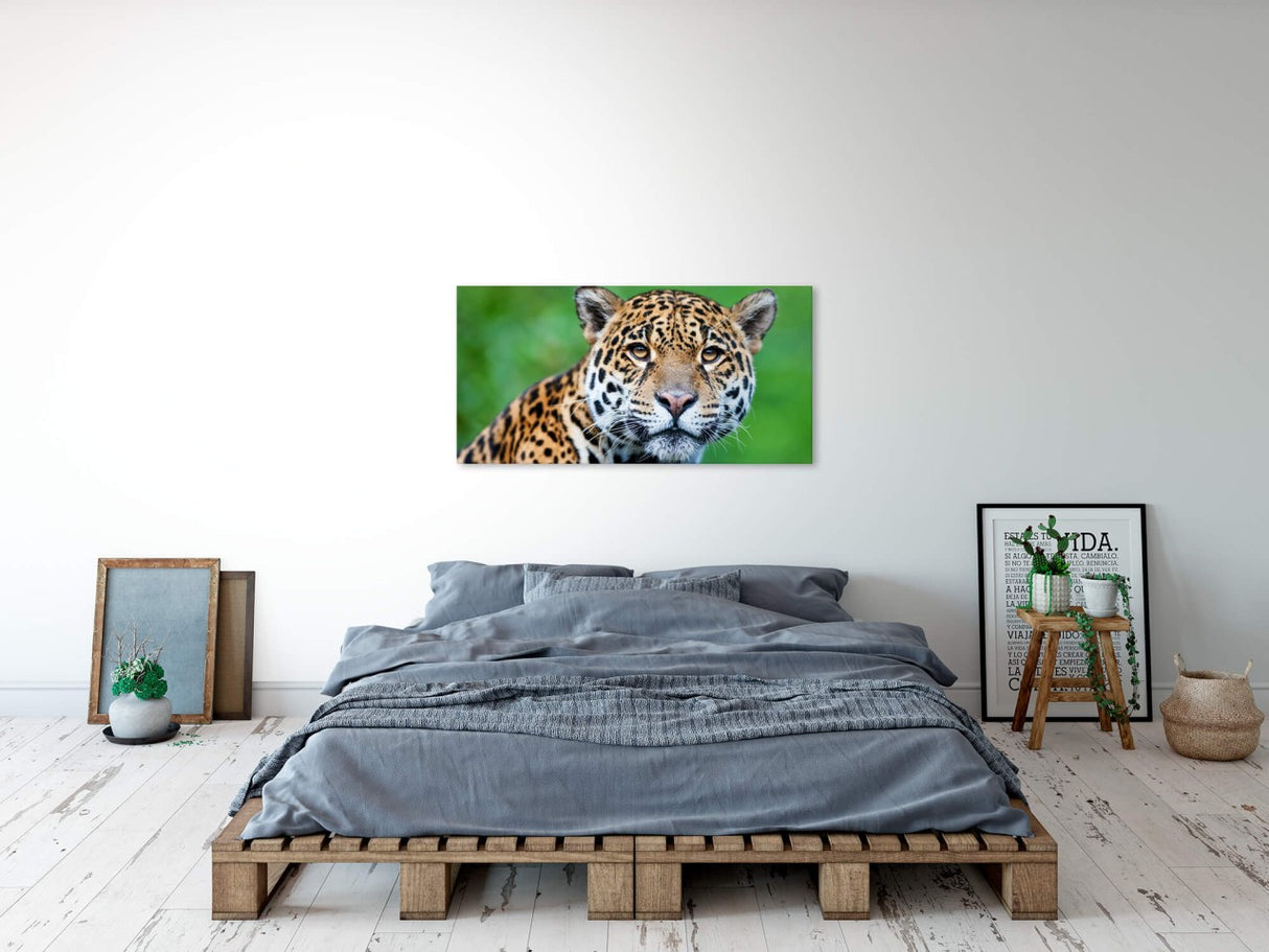 shutterstock_105798383KJizuP4TcbBWu_1280x1280.jpg