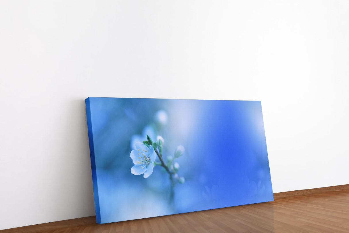 shutterstock_1068145247g477FwqVEexyM_1280x1280.jpg