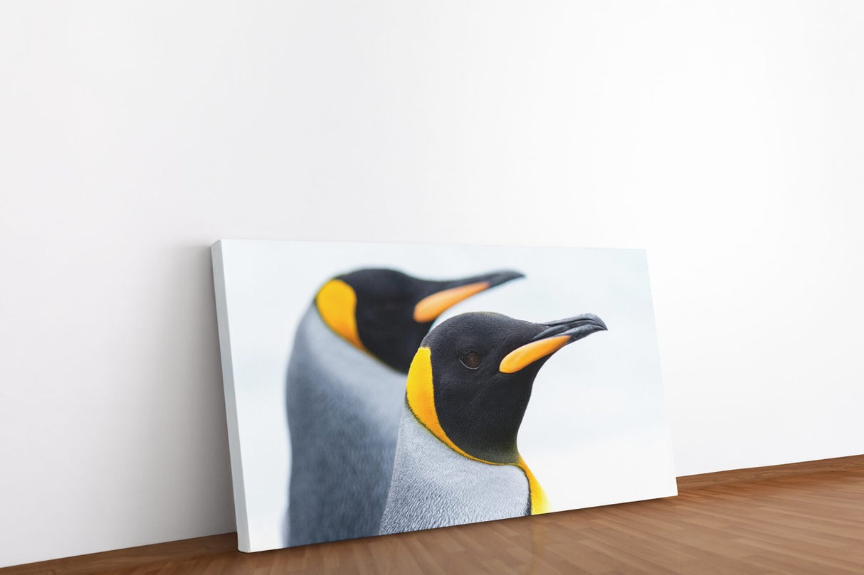 shutterstock_1068199421lHMNndi53Fu8R_1280x1280.jpg