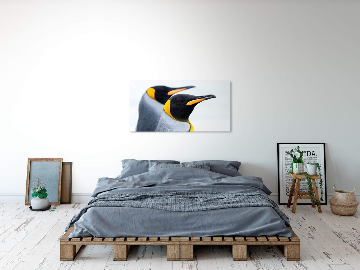 shutterstock_1068199421pzrbmSkf4oGws_1280x1280.jpg