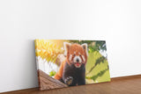 shutterstock_1095044354X1I4Sgfdfpsqd_1280x1280.jpg