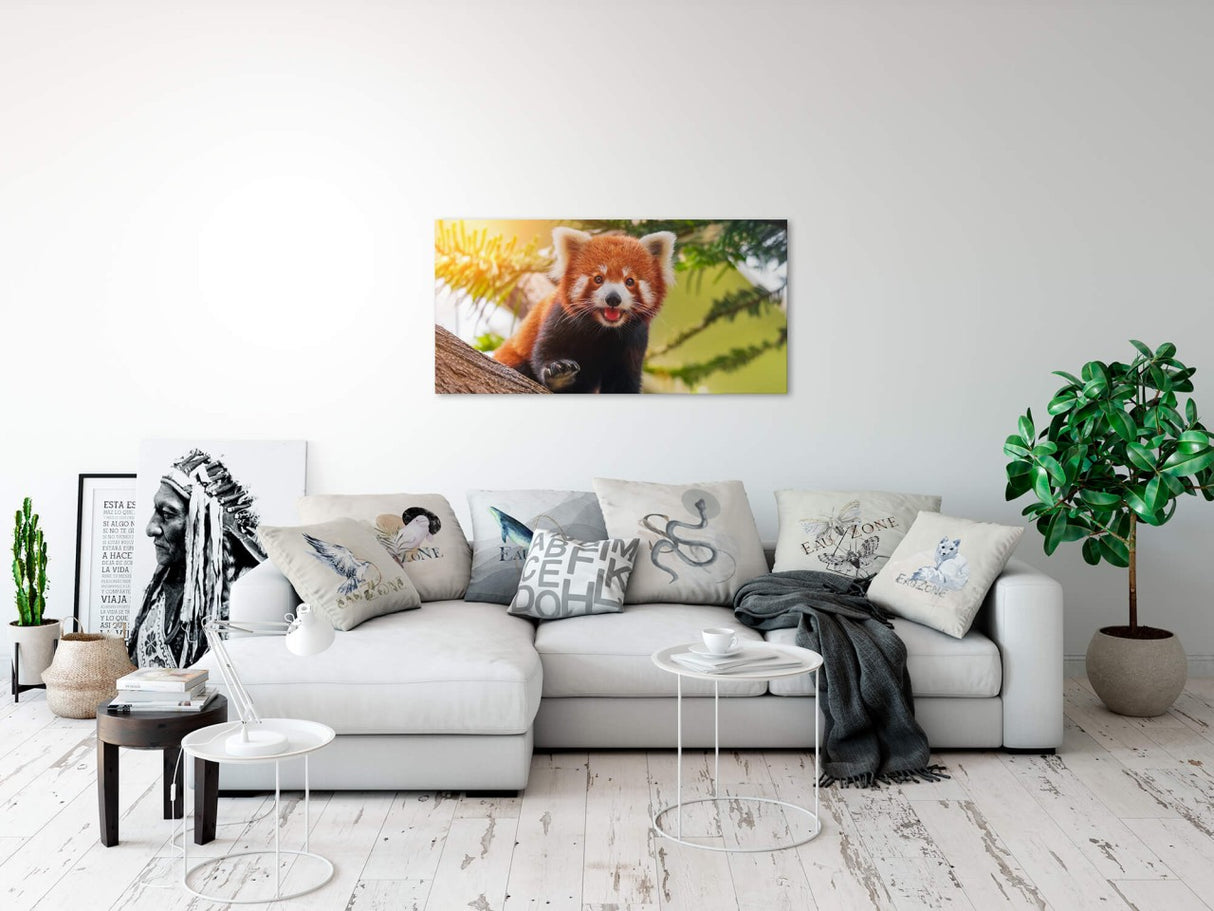shutterstock_1095044354aQ2yMvxSJnbl2_1280x1280.jpg